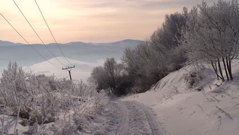 Ländliche-Winterstraße-Neben-Eingeschneiten-Sträuchern-Und-Stromleitungen