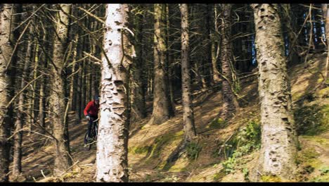 mountain biker riding bicycle in forest