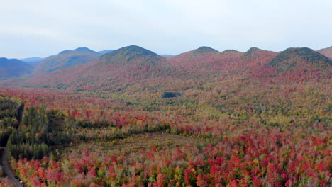 drone view of amazing autumn colors in the forest of the adirondack mountains in upstate new york