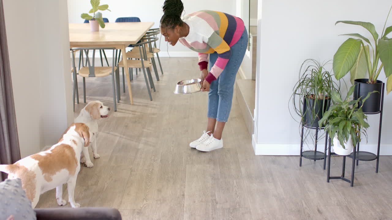 Feeding dogs, woman holding bowl and bending down in modern home dining area
