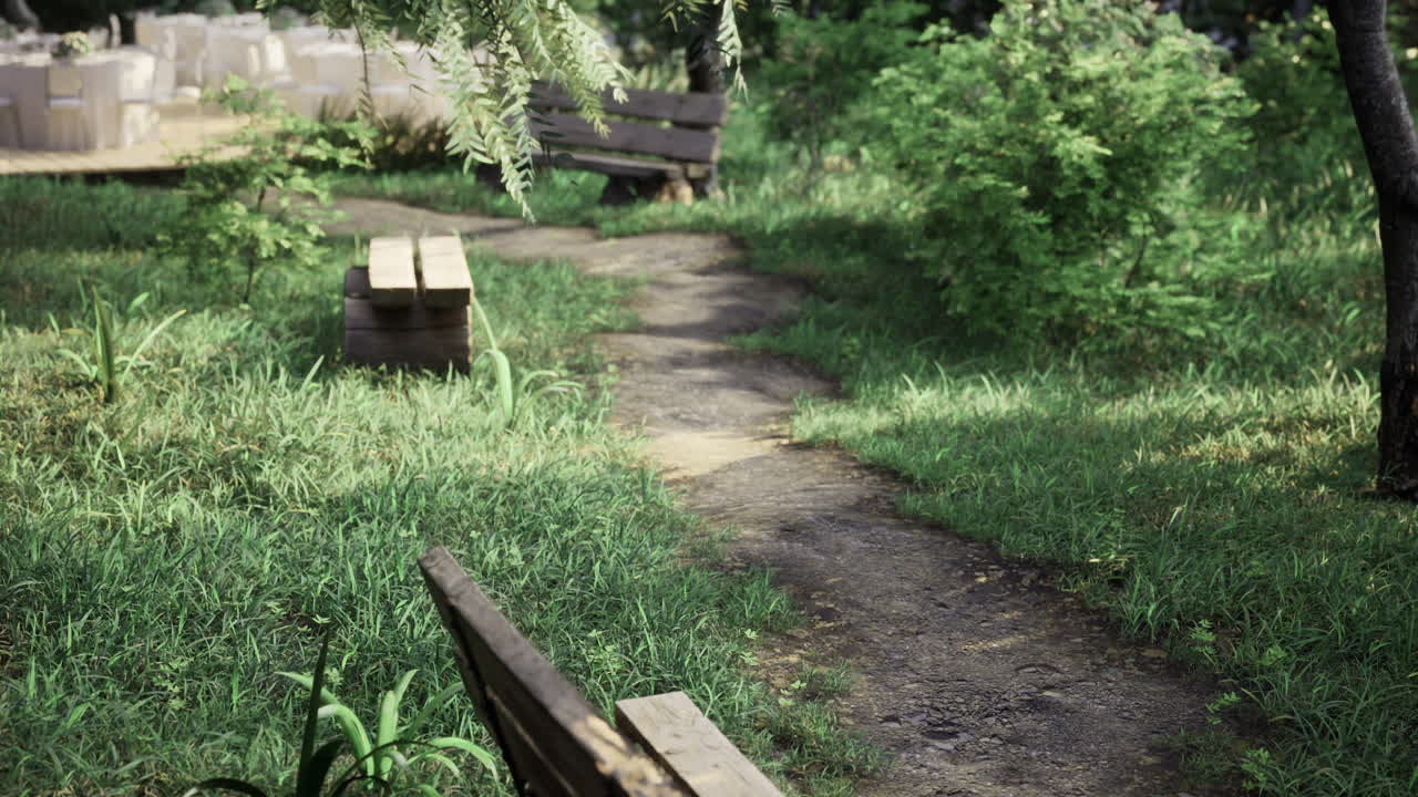Scenic park path bordered by greenery and wooden benches in warm daylight