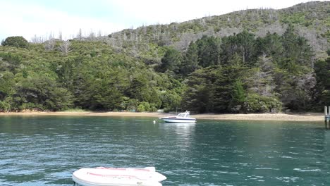 slowly approaching land on calm, blue-green water in summertime - camp bay, endeavour inlet