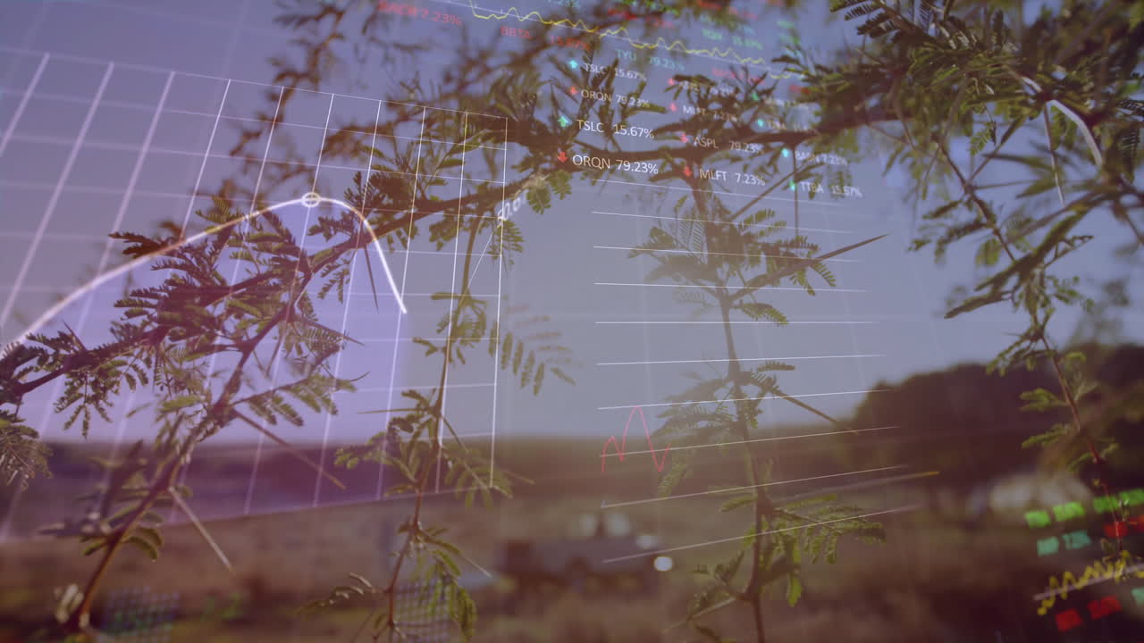 Financiële data en grafieken animatie boven boomtakken in een natuurlijk landschap