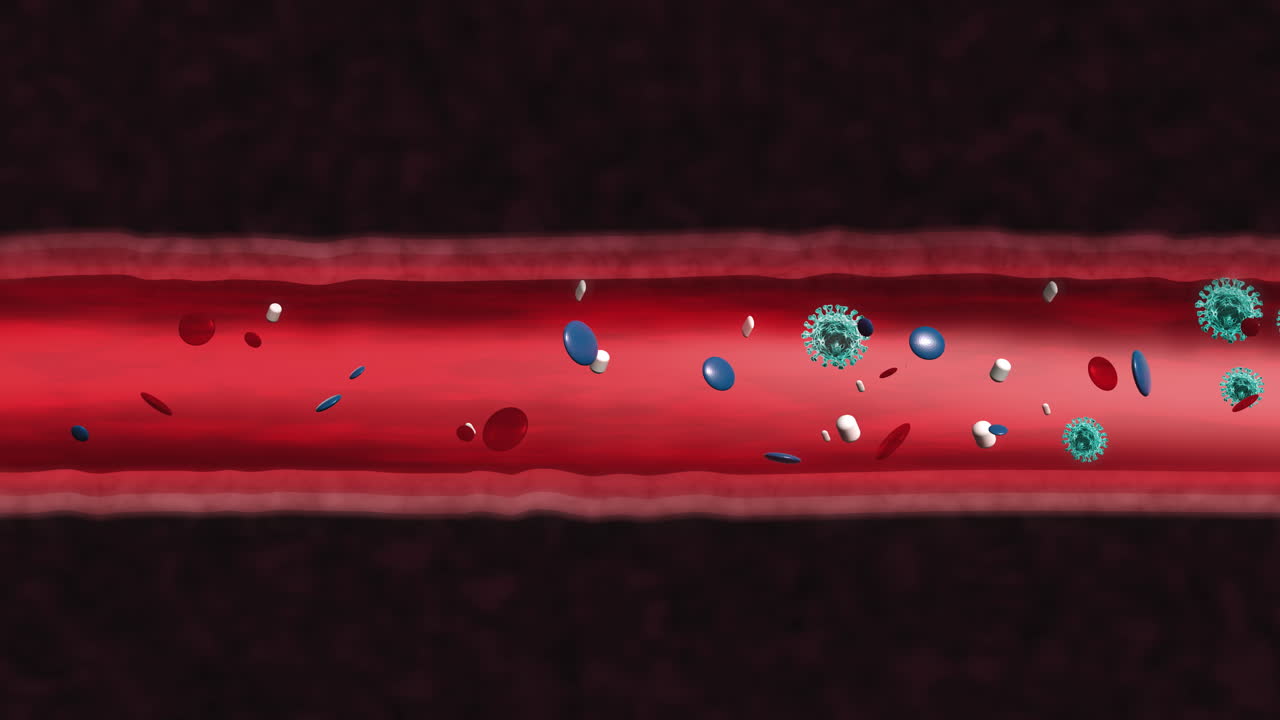 Blood cells and virus illustration