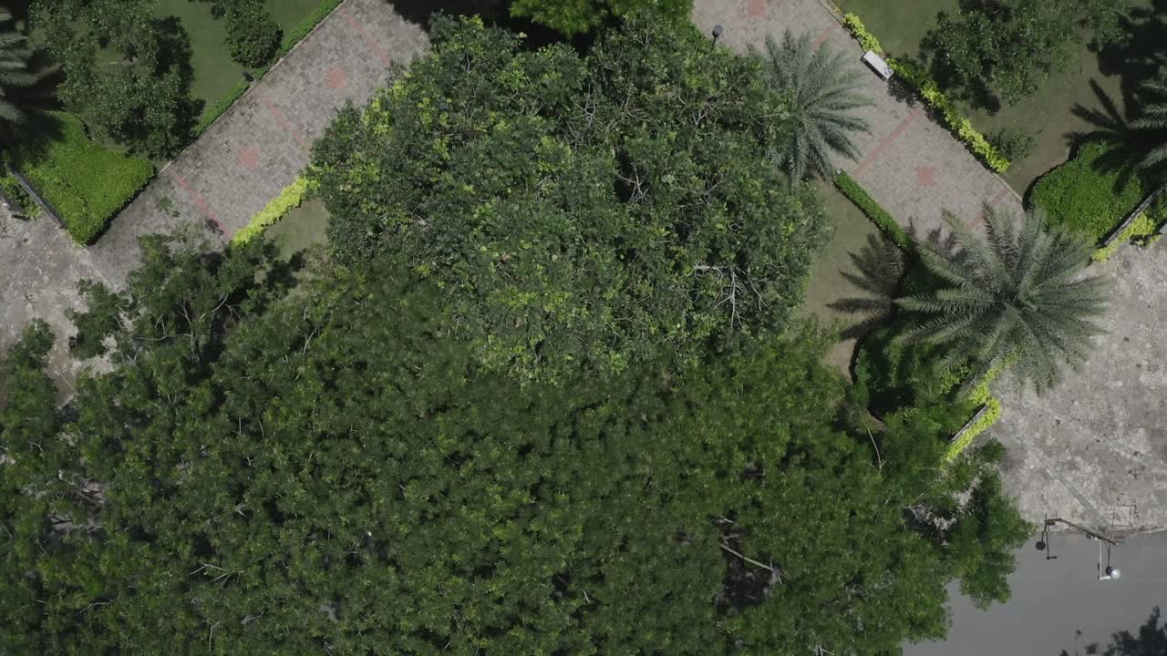 vista aérea simétrica de arriba hacia abajo de tiro largo del parque urbano moderno con lagos, jardines exuberantes, puentes, espacios verdes, caminos y árboles