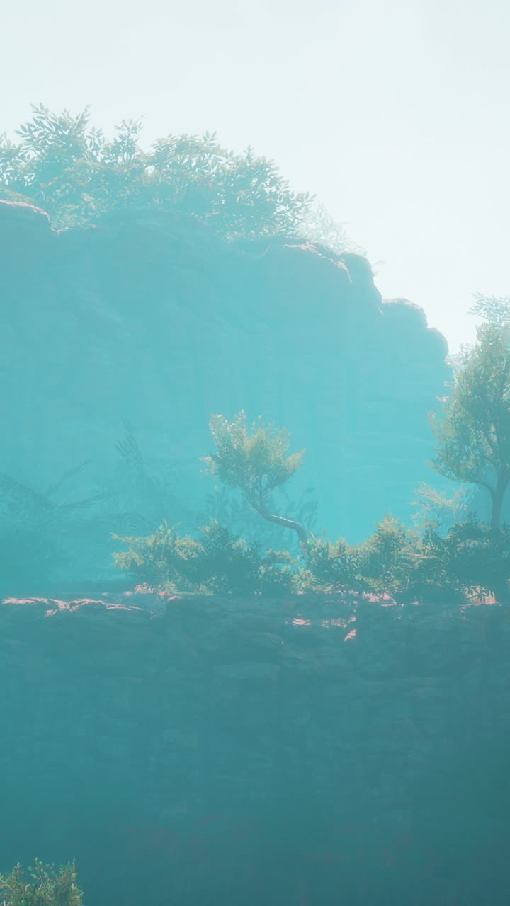 안개가 가득한 산 절벽 풍경