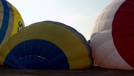 globo 21