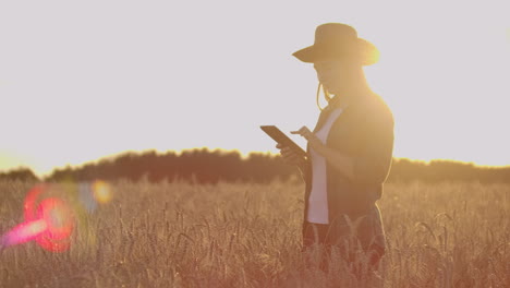 Una-Campesina-Con-Sombrero-Y-Camisa-A-Cuadros-Toca-Los-Brotes-Y-Las-Semillas-De-Centeno,-Examina-E-Ingresa-Datos-En-La-Tableta-Que-Se-Encuentra-En-El-Campo-Al-Atardecer.