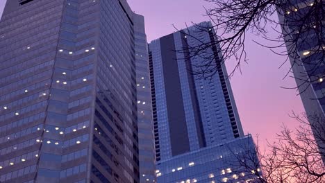 Twilight-Stunning-Sunset-Time-Lapse-on-a-fall-winter-cold-skyscraper-tall-mirrored-office-tower-futuristic-modern-architecture-marvel-view-upwards-at-a-steep-angle-of-wavey-windy-bary-tree-branches