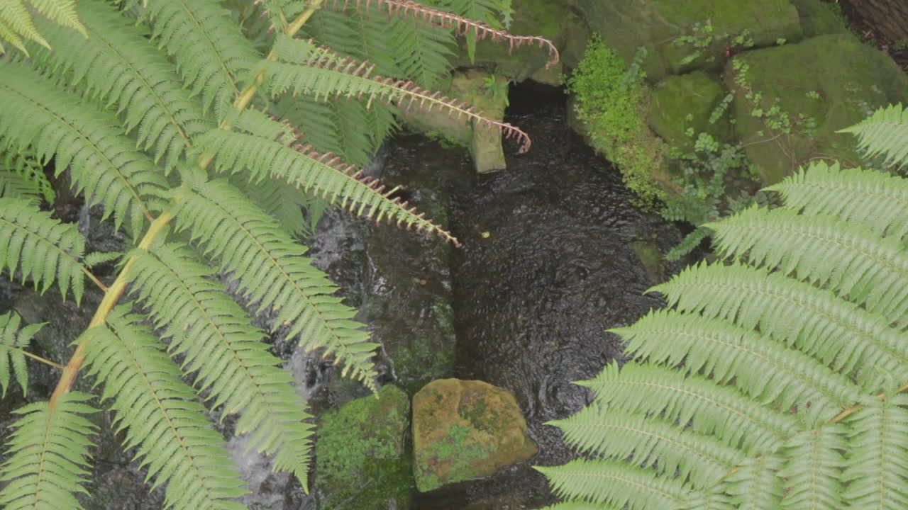 vista aérea de una cascada tranquila