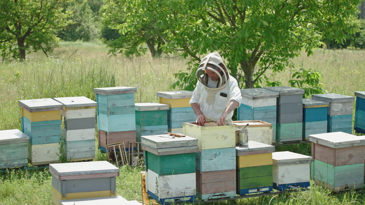 Beekeeper inspecting beehives in a field