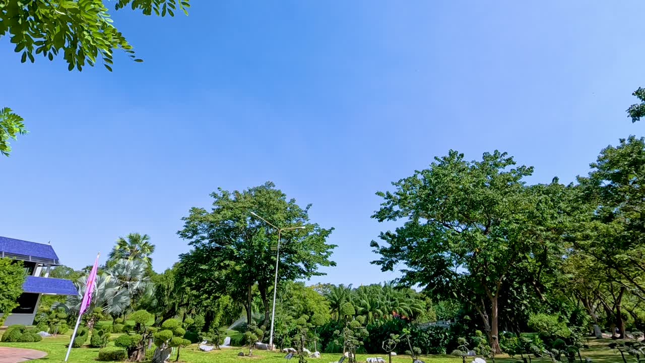 A tranquil scene in Rama IX Park, Bangkok, with lush greenery, clear skies, and gentle camera movement capturing the peaceful environment