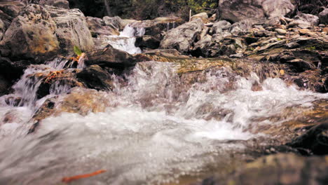 Detail-Des-Kristallklaren-Wassers-Der-Glänzenden-Felsenwildnis