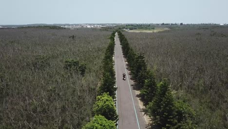 disparo de avión no tripulado de scooter montando a través de un solo paso de carretera por los árboles del bosque