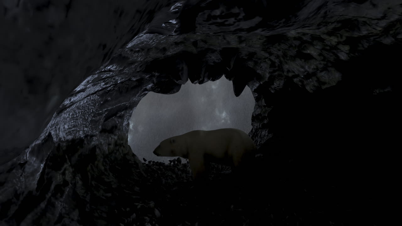 oso polar en una cueva durante una tormenta