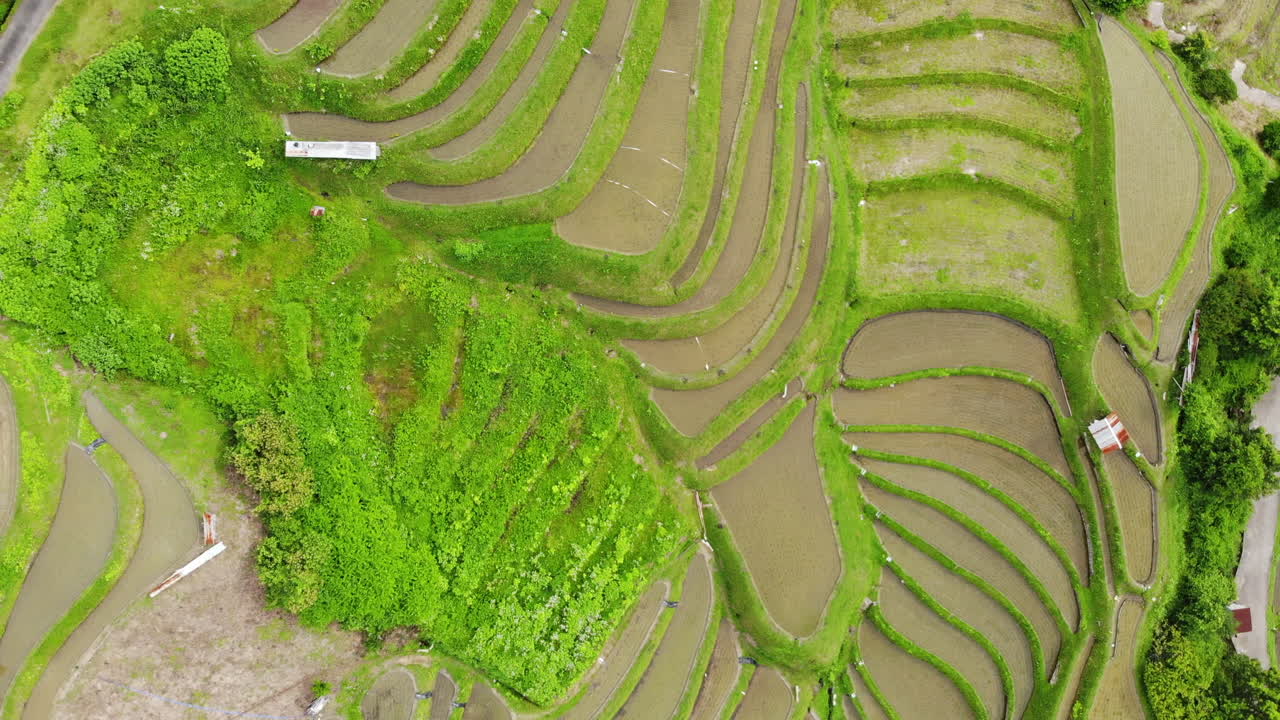 Aerial video, with drone, above terraced ricefields, in Osaka Japan.  Rocketshot