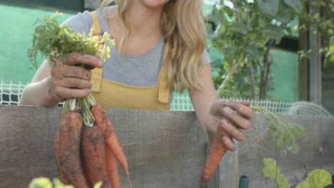 Glückliche-Kaukasische-Frau,-Die-Im-Garten-Arbeitet-Und-Karotten-Pflückt,-Zeitlupe