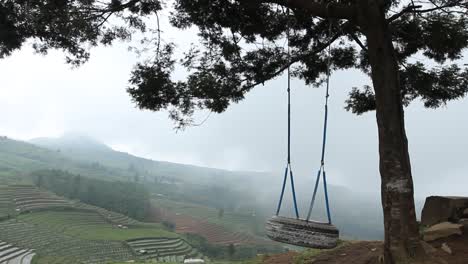 one swing atop a hill that moves without people