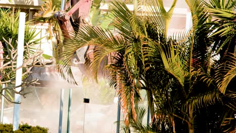 excavator operates behind lush palm trees, demolishing a brick structure in bright daylight. dust rises as machinery works, partially obscured by foliage