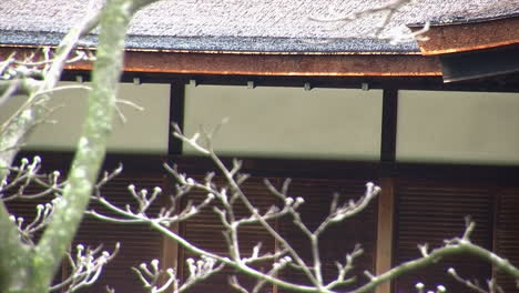 roofline of japanese house and amado wall coverings seen through tree branches