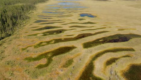 una vista cautivadora de los patrones únicos de los pantanos en el remoto labrador, canadá