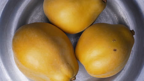 three yellow quince fruits in a metal bowl