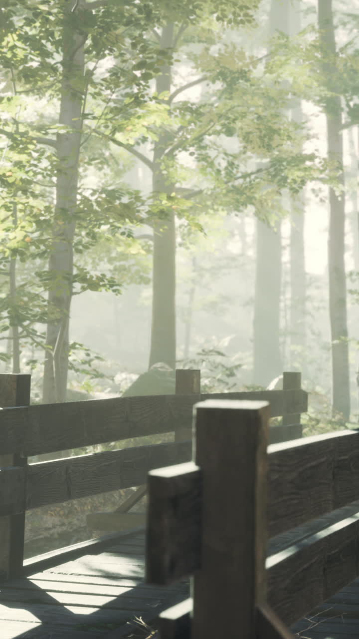 나무 다리가 있는 평화로운 안개 숲