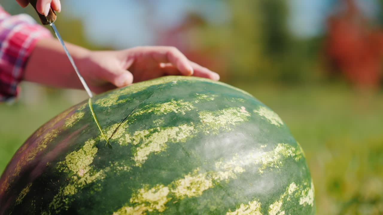 수박 조각 조각