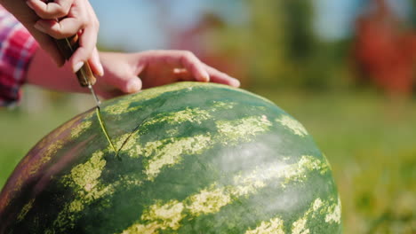 Eine-Scheibe-Wassermelone-Schnitzen