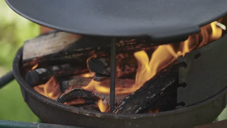 Cámara-Lenta-De-La-Leña-Ardiendo-En-La-Parrilla