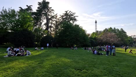 groups of people relaxing in a park