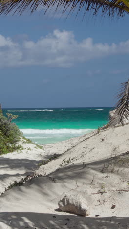 beautiful-carribean-beach-and-sea,-mexico-in-vertical-format