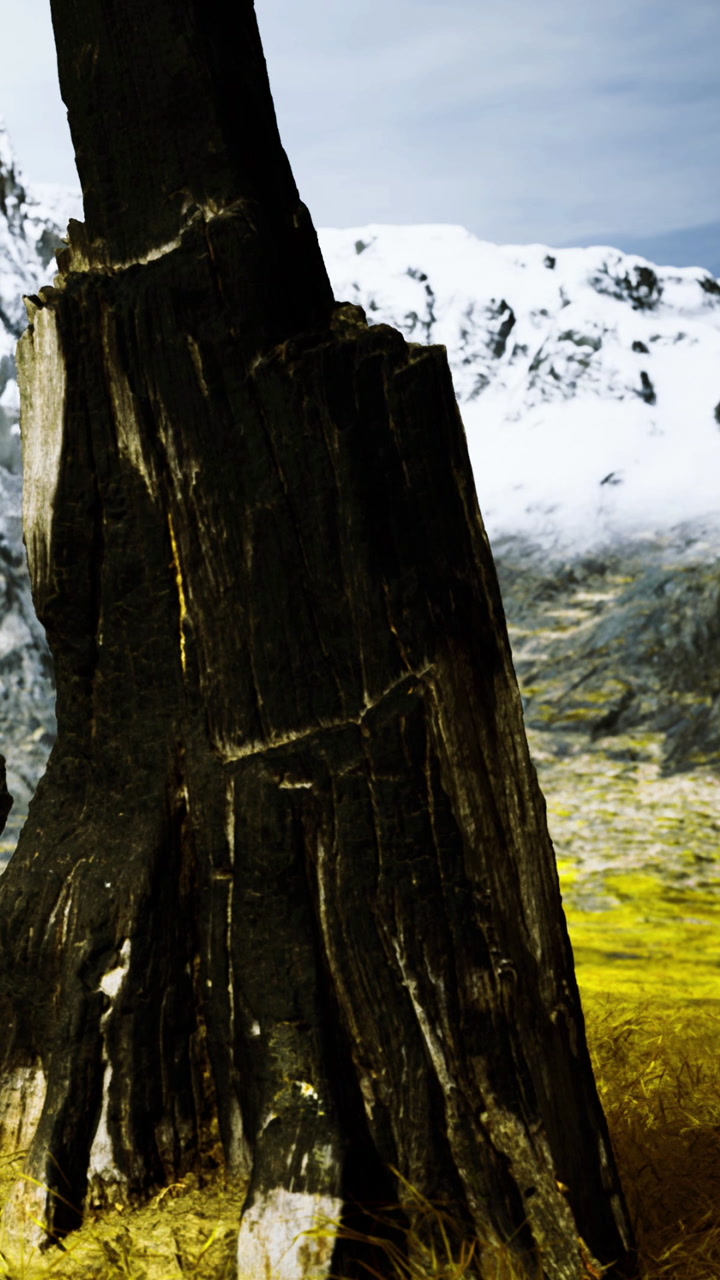 Mountains and a large tree trunk in late afternoon light near a lake