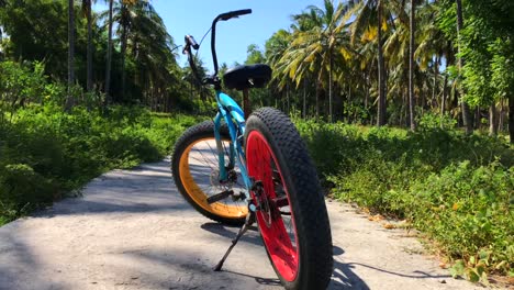 Sand-bicycle-in-the-middle-of-a-coconut-tree-plantation-in-Gili-Trawangan,-Bali,-Lombok,-Indonesia