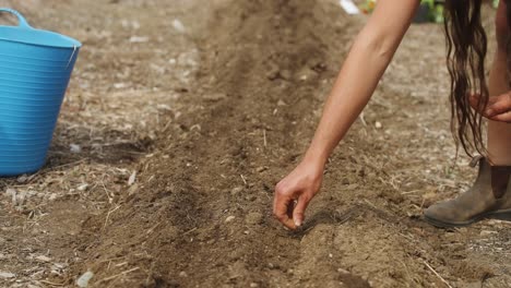 Gardener-working-in-garden-at-farm-planting-seeds