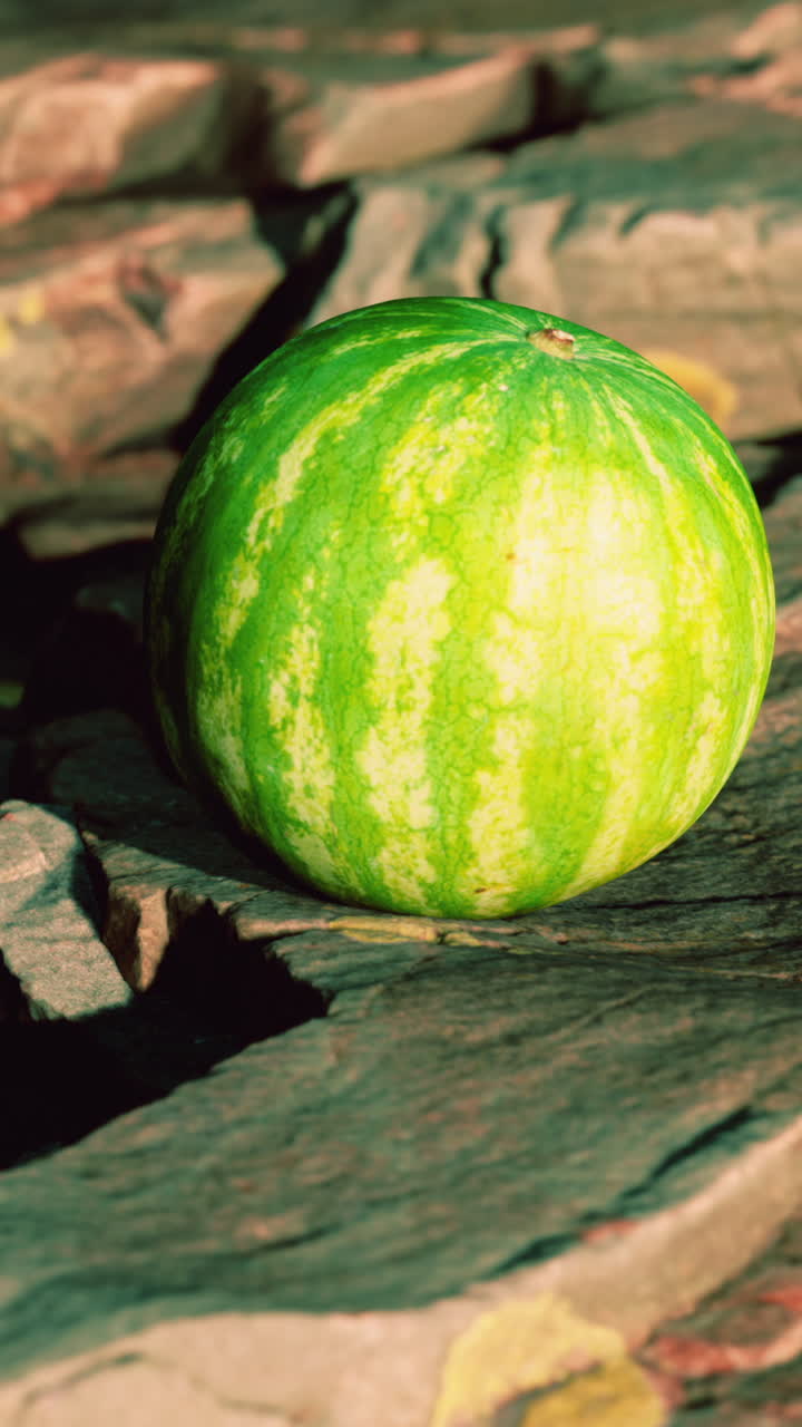 sandía madura en las rocas