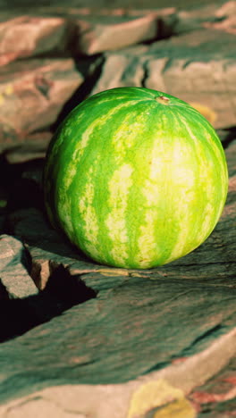 ripe watermelon on rocks