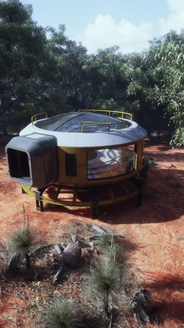 숲 속 의 미래적 인  구조