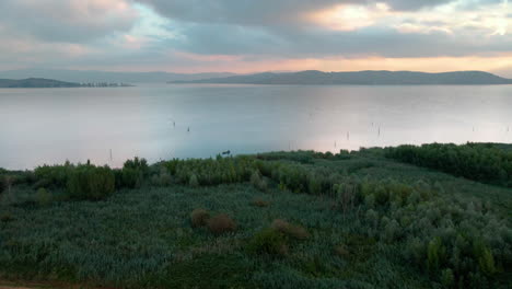 Calm-Waters-Of-Lake-Trasimeno-With-Green-Vegetation-On-The-Shore-In-Umbria,-Italy---aerial-sideways