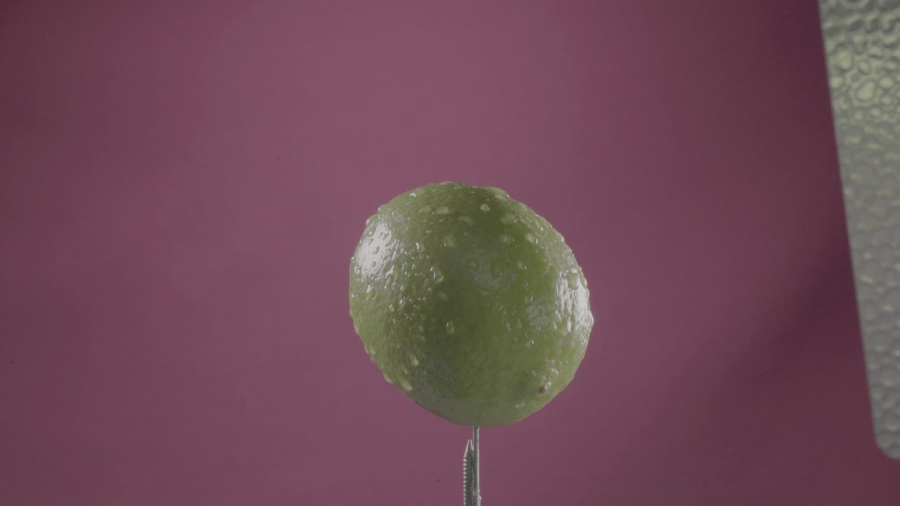 크로마 키에 대한 푸키아 스크린에 루프와 함께 회전하는 레몬