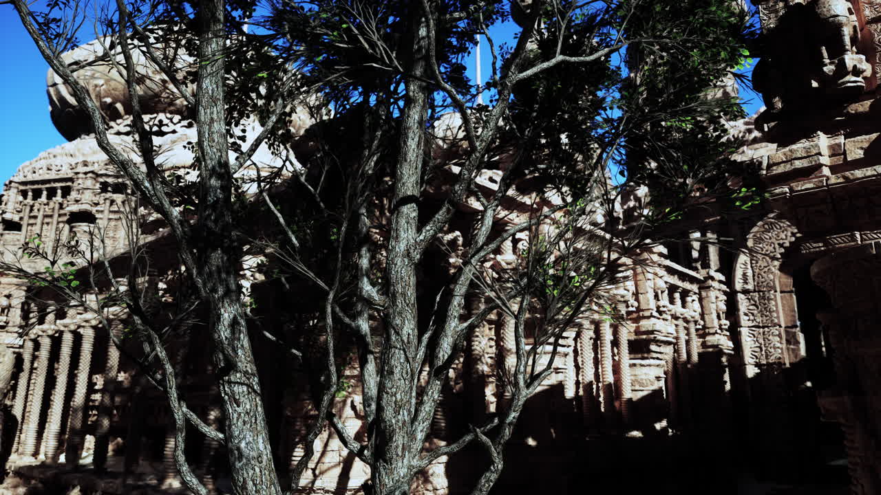 정글의 고대 유적