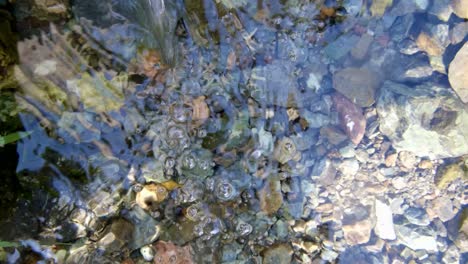 close up of clean water flowing in a small mountain river, slow motion and shallow depth of field.