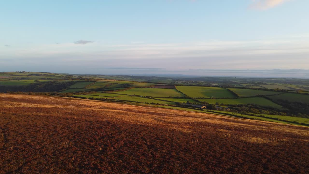 Fast Rising Aerial Drone Footage with Purple Heather and Green Rolling Fields in North Devon UK 4K
