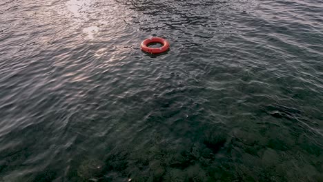 a bright orange ring drifts quietly in serene waters as the sun sets, casting warm colors across the surface. nature's tranquility is beautifully captured in this moment