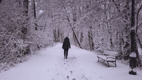 Warm-Gekleidete-Weibliche-Rückansicht,-Die-Entlang-Der-Verschneiten-Niebieskie-Zrodla-Waldlandschaftswegszene-Geht