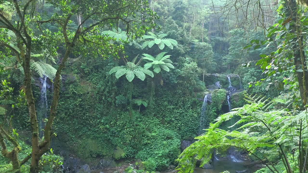 Scenic view of drone flying trough dense forest vegetation to twin waterfall flowing down mossy cliffs surrounded by dense jungle vegetation