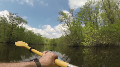 kayaker's point-of-view paddling on river through cypress forest