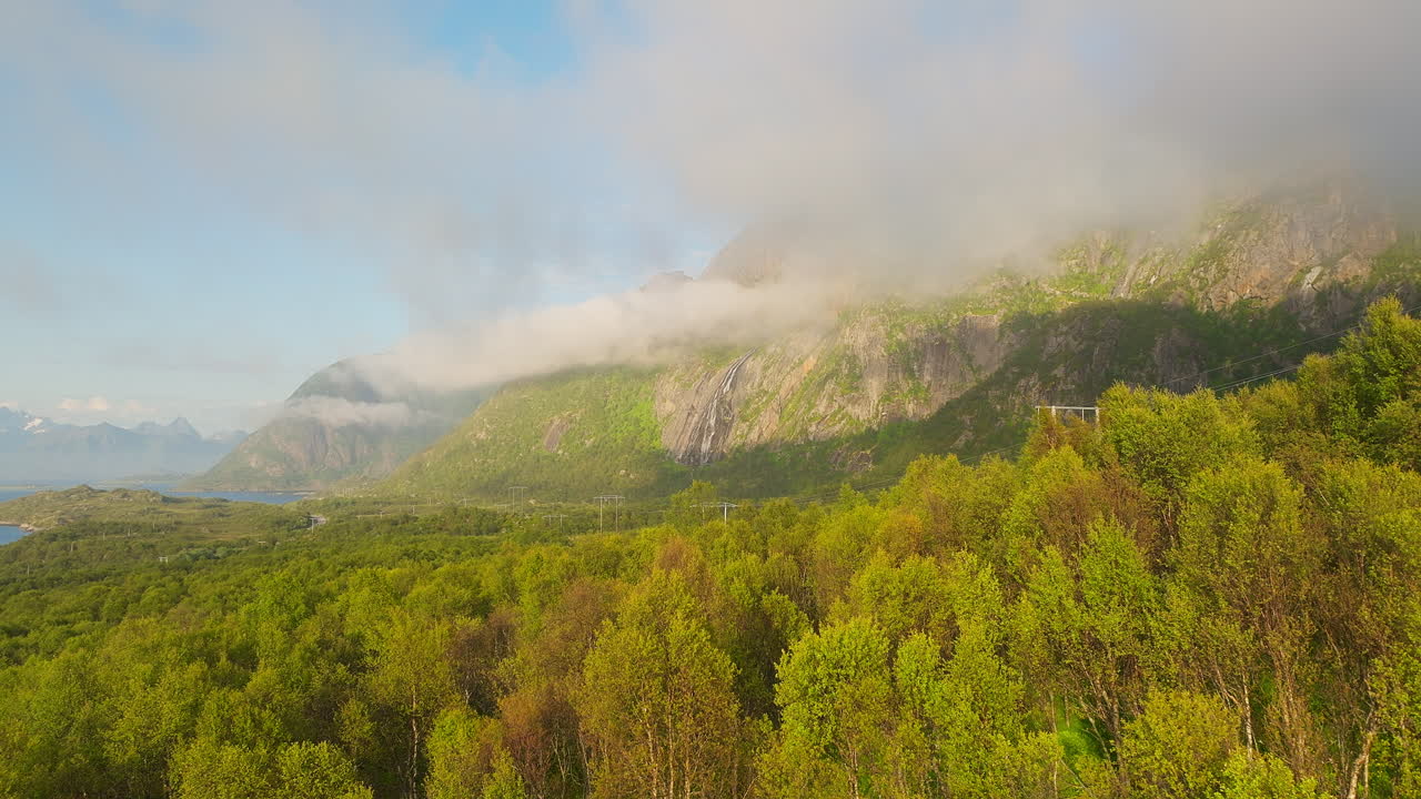naturaleza de bosque de árboles coloridos durante el verano brumoso en las islas lofoten, noruega
