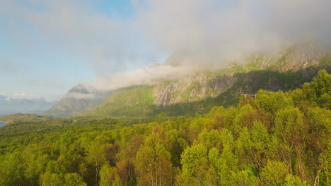 Bunte-Baumwaldnatur-Während-Des-Nebligen-Sommers-Auf-Den-Lofoten,-Norwegen
