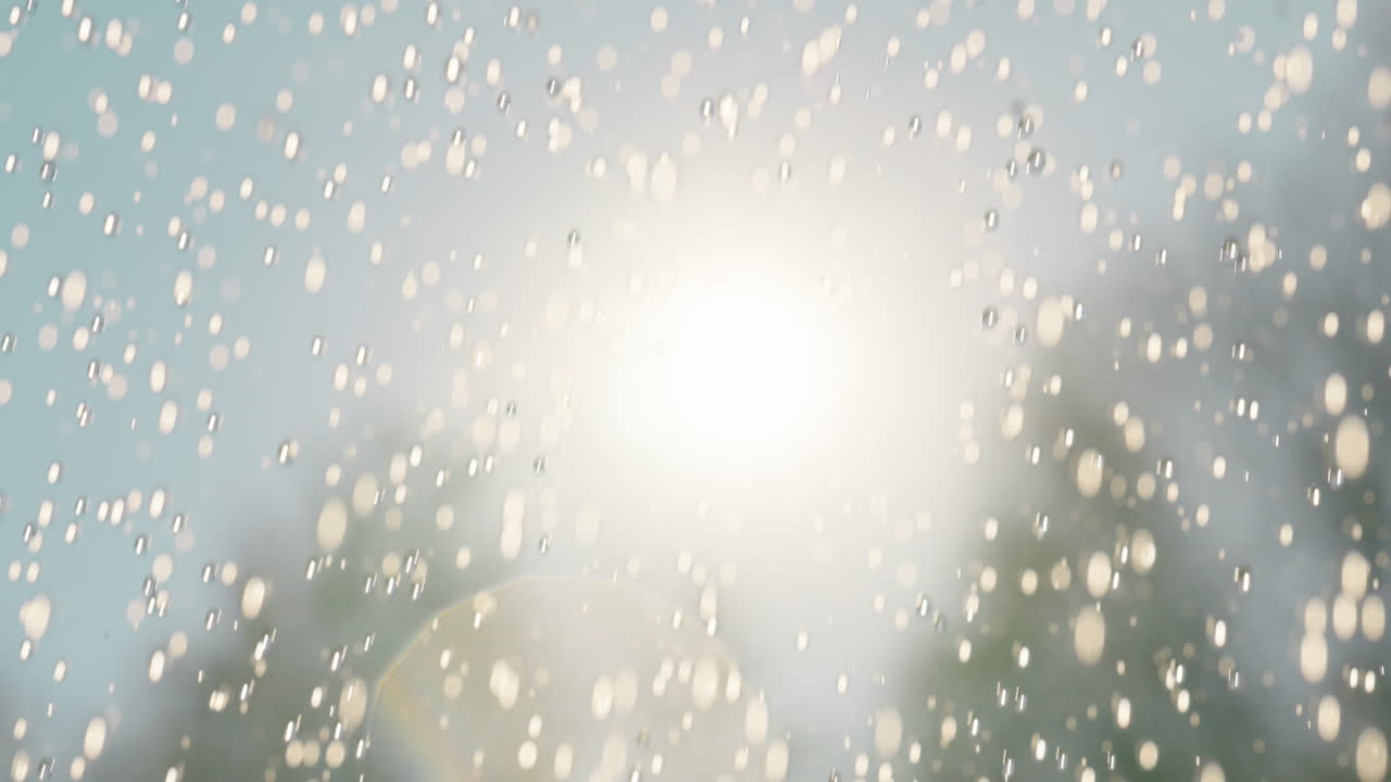 Water Drops in Sunlight